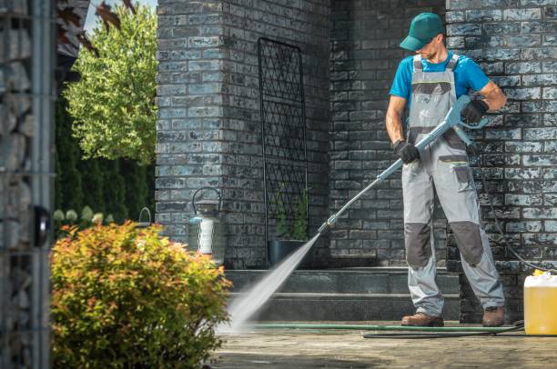 Animal Enclosure Cleaning in Albion, NY